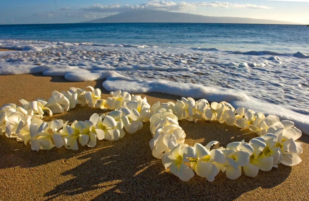 Diamond Head View Close To Waikiki Beach With Parking Хонолулу Екстериор снимка