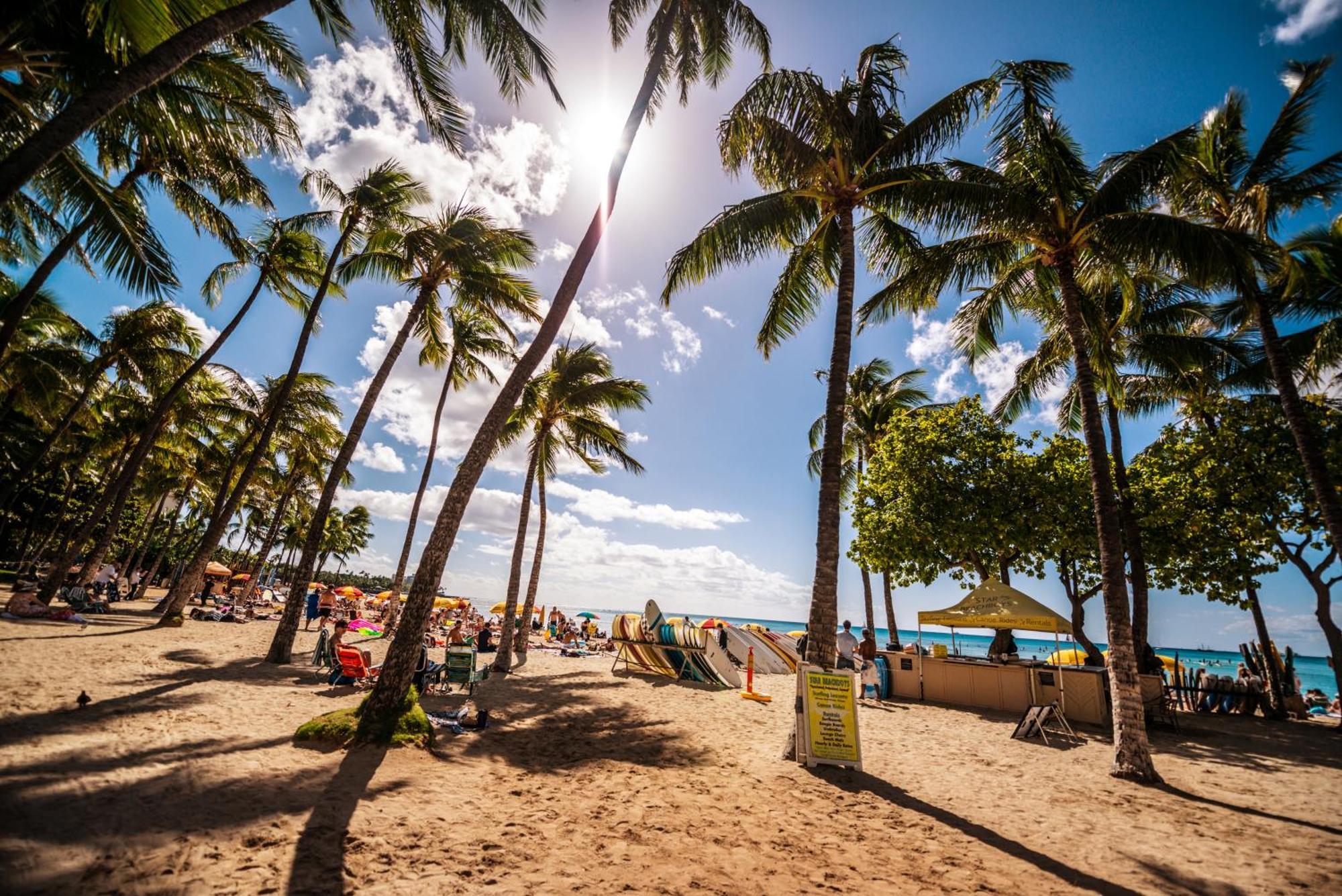 Diamond Head View Close To Waikiki Beach With Parking Хонолулу Екстериор снимка